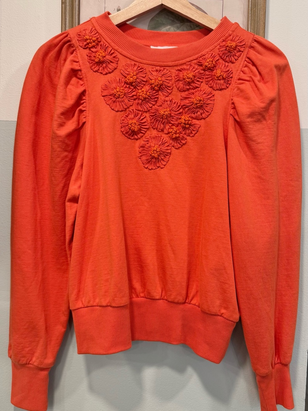 Anthropologie embroidered sweatshirt. - Picture 1 of 2